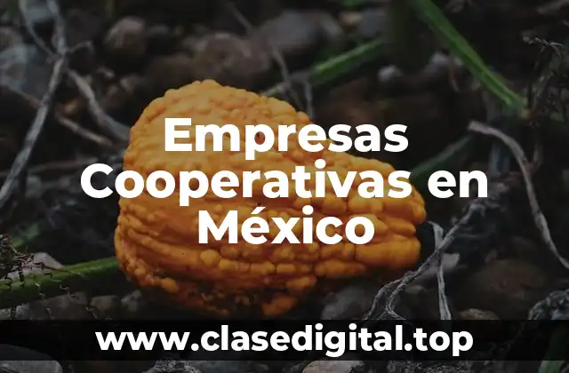 Empresas Cooperativas en México