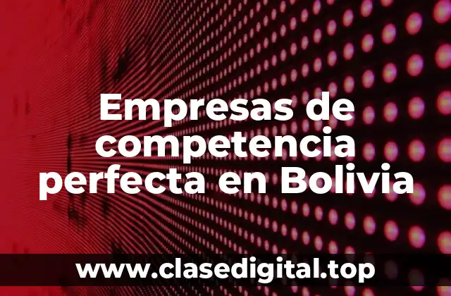 Empresas de competencia perfecta en Bolivia