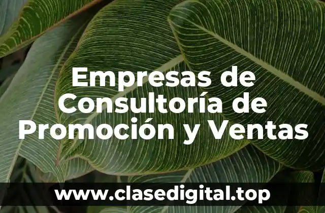 Empresas de Consultoría de Promoción y Ventas