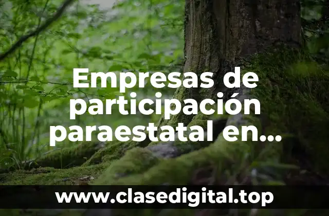 Ejemplos de empresas de participación paraestatal en Michoacán