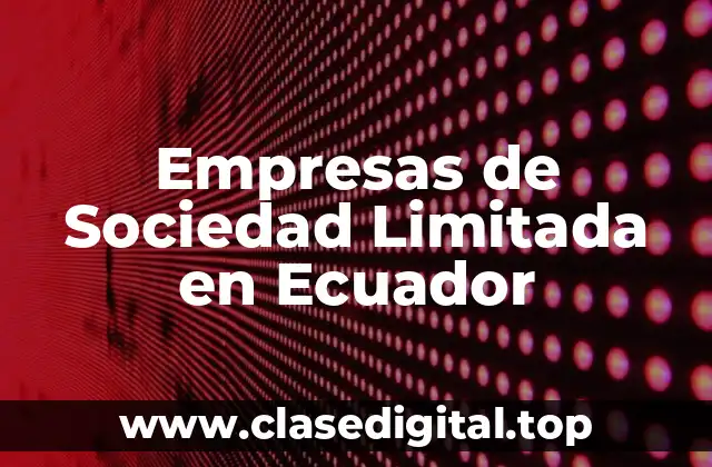 Empresas de Sociedad Limitada en Ecuador