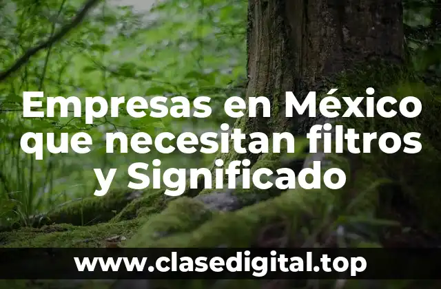 Empresas en México que necesitan filtros y Significado