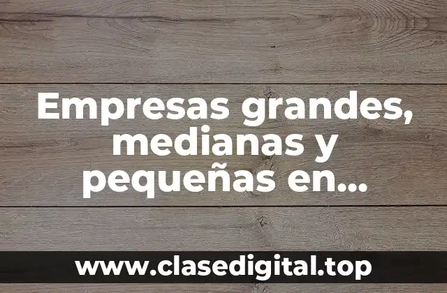 Empresas grandes, medianas y pequeñas en Ecuador
