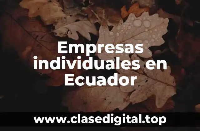 Empresas individuales en Ecuador