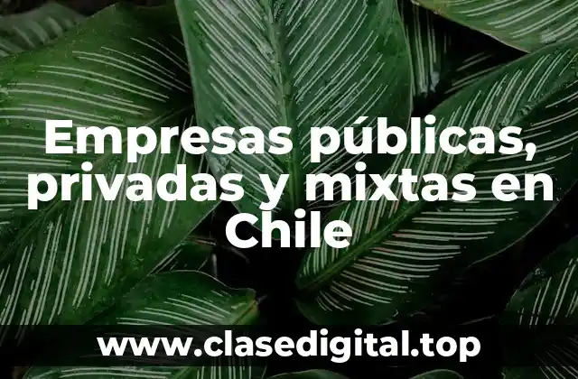 Ejemplos de empresas públicas en Chile