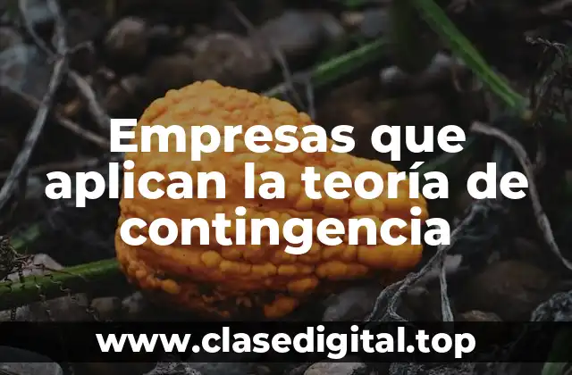 Empresas que aplican la teoría de contingencia