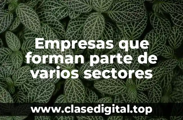 Ejemplos de empresas que forman parte de varios sectores