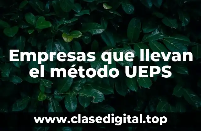 Empresas que llevan el método UEPS