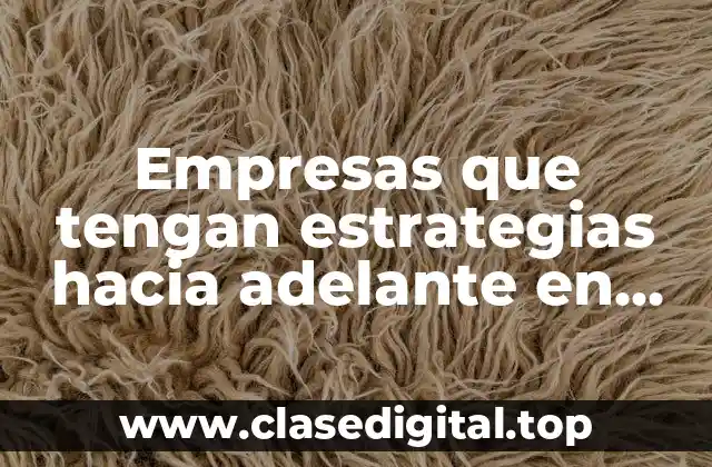 Empresas que tengan estrategias hacia adelante en empresa y Significado
