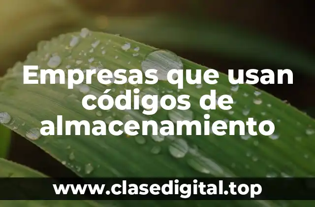 Ejemplos de empresas que usan códigos de almacenamiento