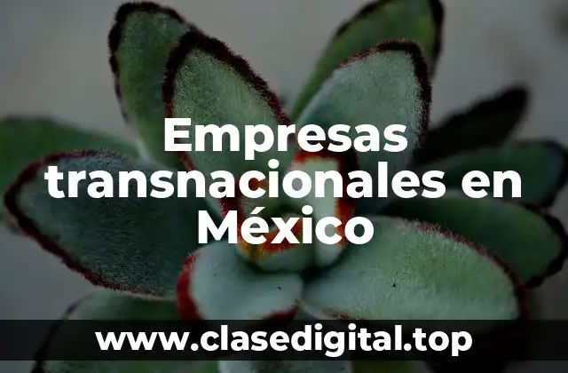 Empresas transnacionales en México