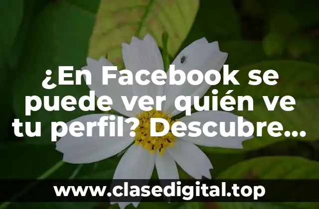 ¿En Facebook se puede ver quién ve tu perfil? Descubre la verdad