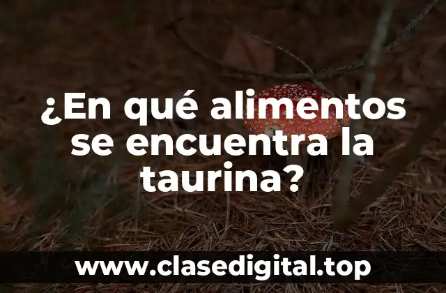 ¿En qué alimentos se encuentra la taurina?