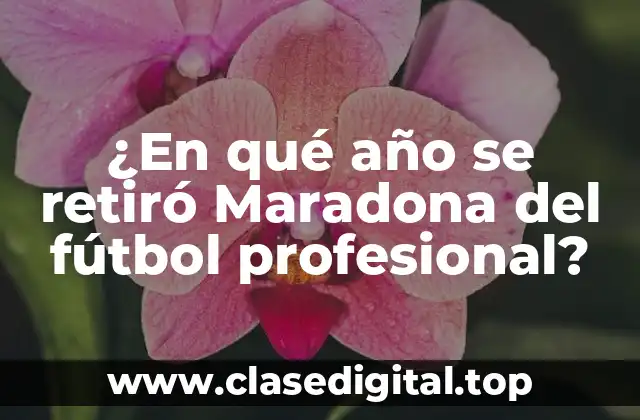 ¿En qué año se retiró Maradona del fútbol profesional?