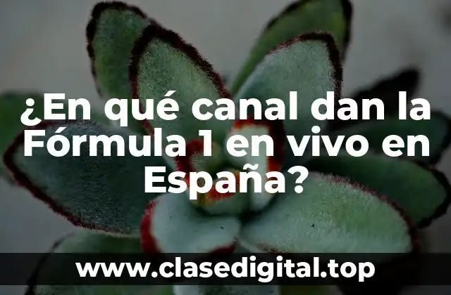¿En qué canal dan la Fórmula 1 en vivo en España?