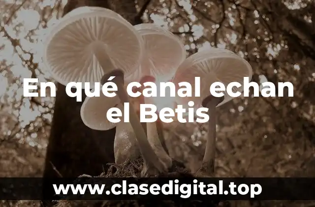 En qué canal echan el Betis