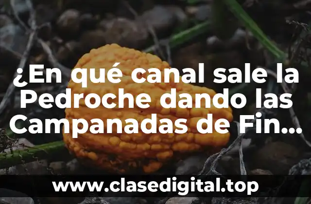 ¿En qué canal sale la Pedroche dando las Campanadas de Fin de Año en España?