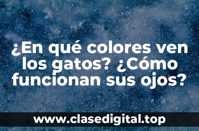 ¿En qué colores ven los gatos? ¿Cómo funcionan sus ojos?