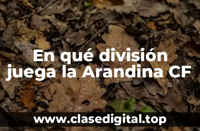 En qué división juega la Arandina CF