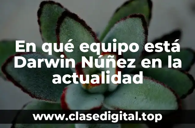 En qué equipo está Darwin Núñez en la actualidad