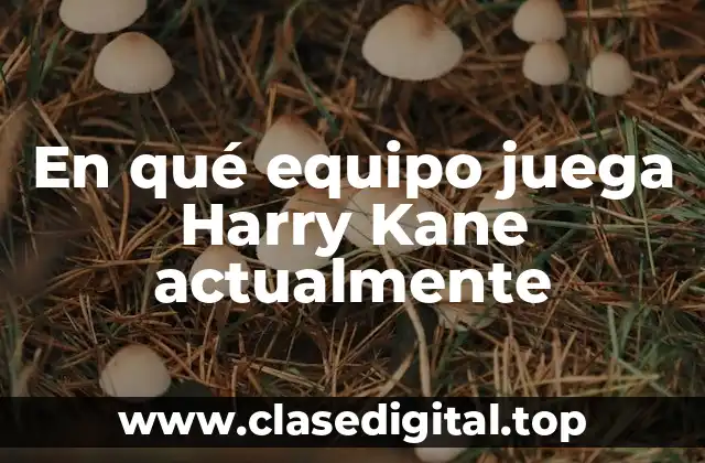 En qué equipo juega Harry Kane actualmente