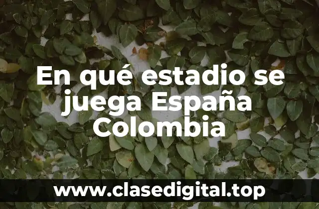En qué estadio se juega España Colombia