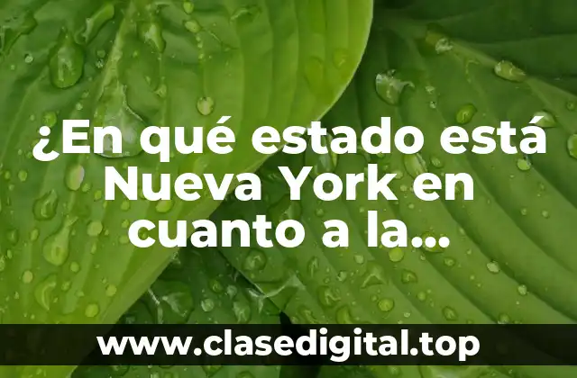 ¿En qué estado está Nueva York en cuanto a la pandemia y la economía?