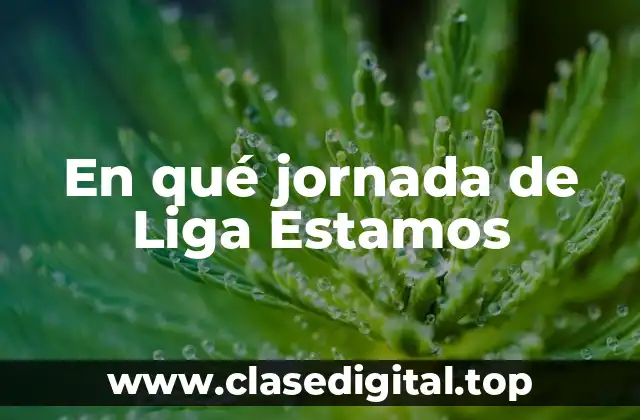 En qué jornada de Liga Estamos