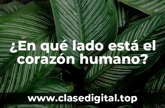 ¿En qué lado está el corazón humano?