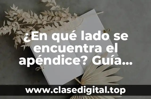 ¿En qué lado se encuentra el apéndice? Guía detallada sobre anatomía y función
