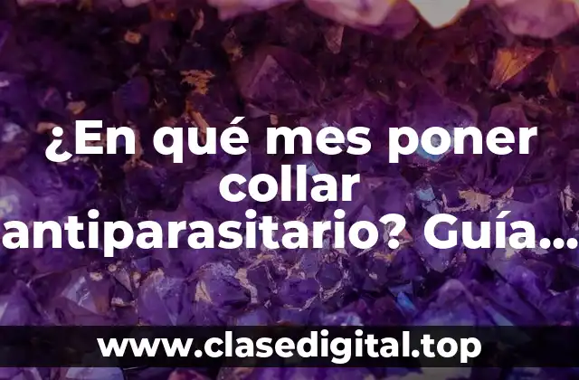 ¿Por qué son importantes los collares antiparasitarios?