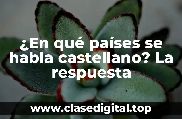 ¿En qué países se habla castellano? La respuesta