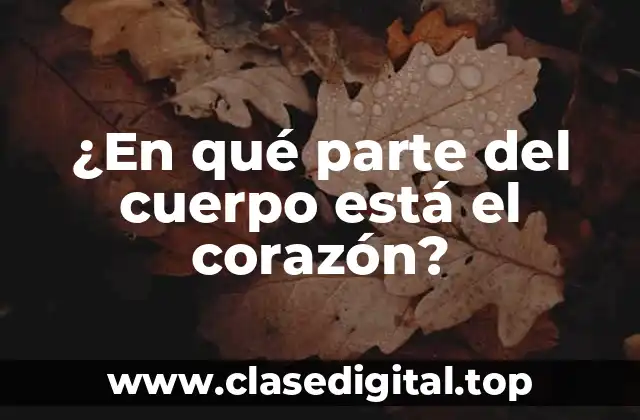 ¿En qué parte del cuerpo está el corazón?
