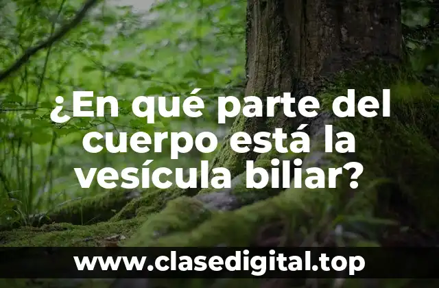 ¿En qué parte del cuerpo está la vesícula biliar?