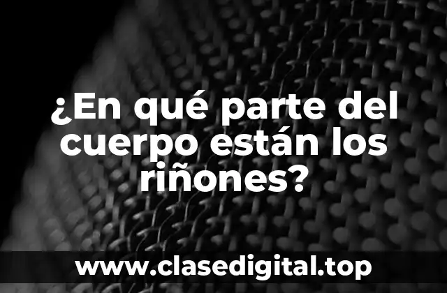 ¿En qué parte del cuerpo están los riñones?