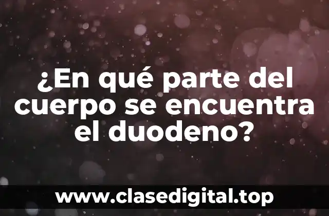 ¿En qué parte del cuerpo se encuentra el duodeno?