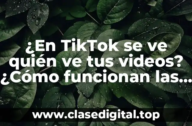 ¿En TikTok se ve quién ve tus videos? ¿Cómo funcionan las vistas en TikTok?