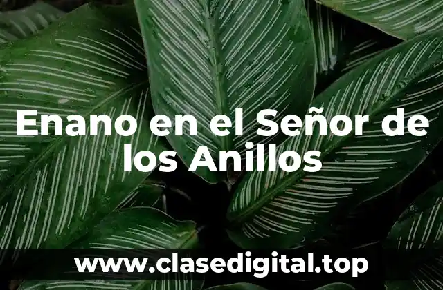 Enano en el Señor de los Anillos