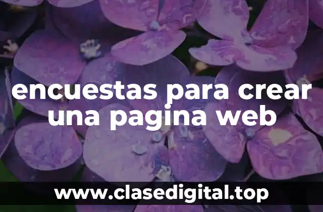 encuestas para crear una pagina web