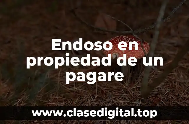 Endoso en propiedad de un pagare