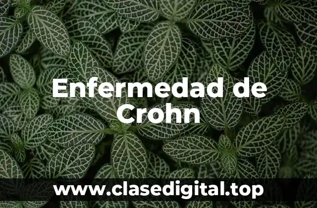 ¿Cuáles son los Alimentos que Empeoran la Enfermedad de Crohn?