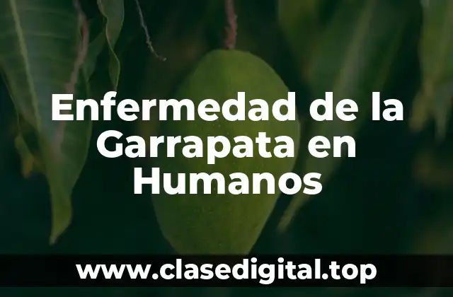 Enfermedad de la Garrapata en Humanos
