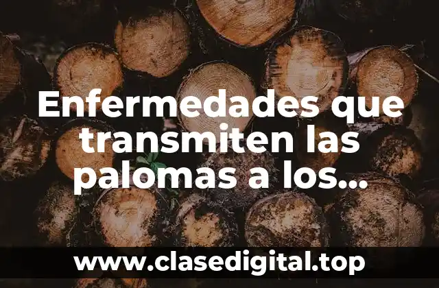 Enfermedades que transmiten las palomas a los humanos