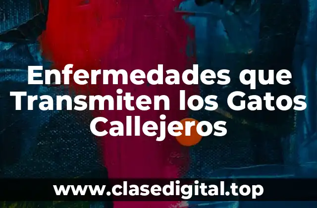 Enfermedades que Transmiten los Gatos Callejeros