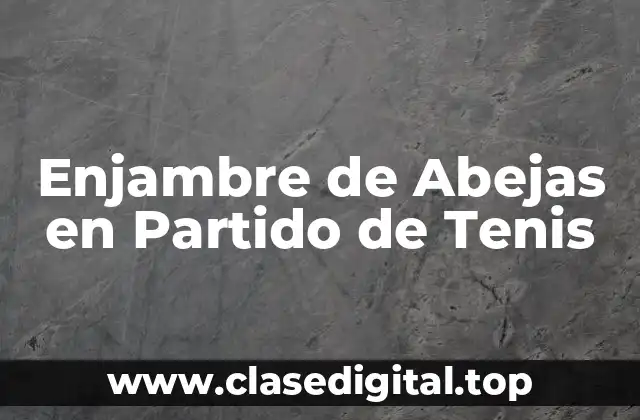 Enjambre de Abejas en Partido de Tenis