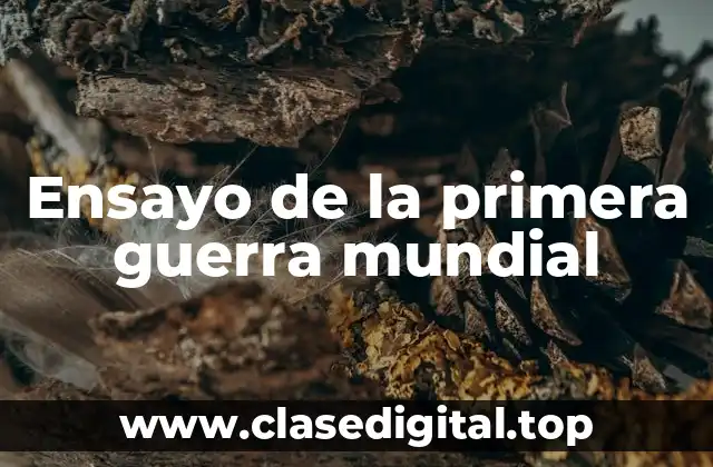 Ejemplos de Ensayo de la primera guerra mundial