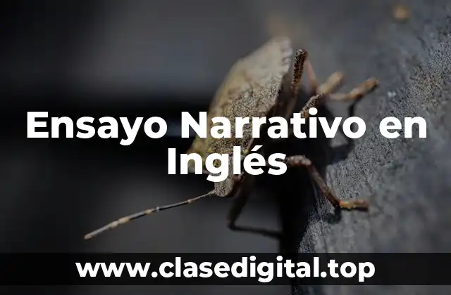 Ensayo Narrativo en Inglés