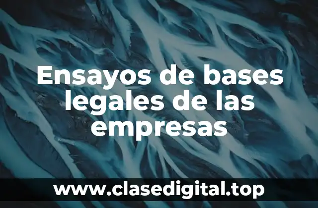 Ejemplos de ensayos de bases legales de las empresas