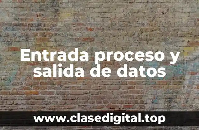 Entrada proceso y salida de datos