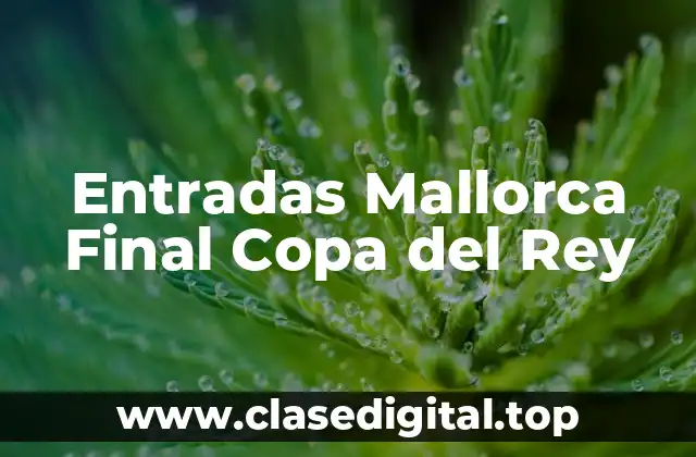 Entradas Mallorca Final Copa del Rey